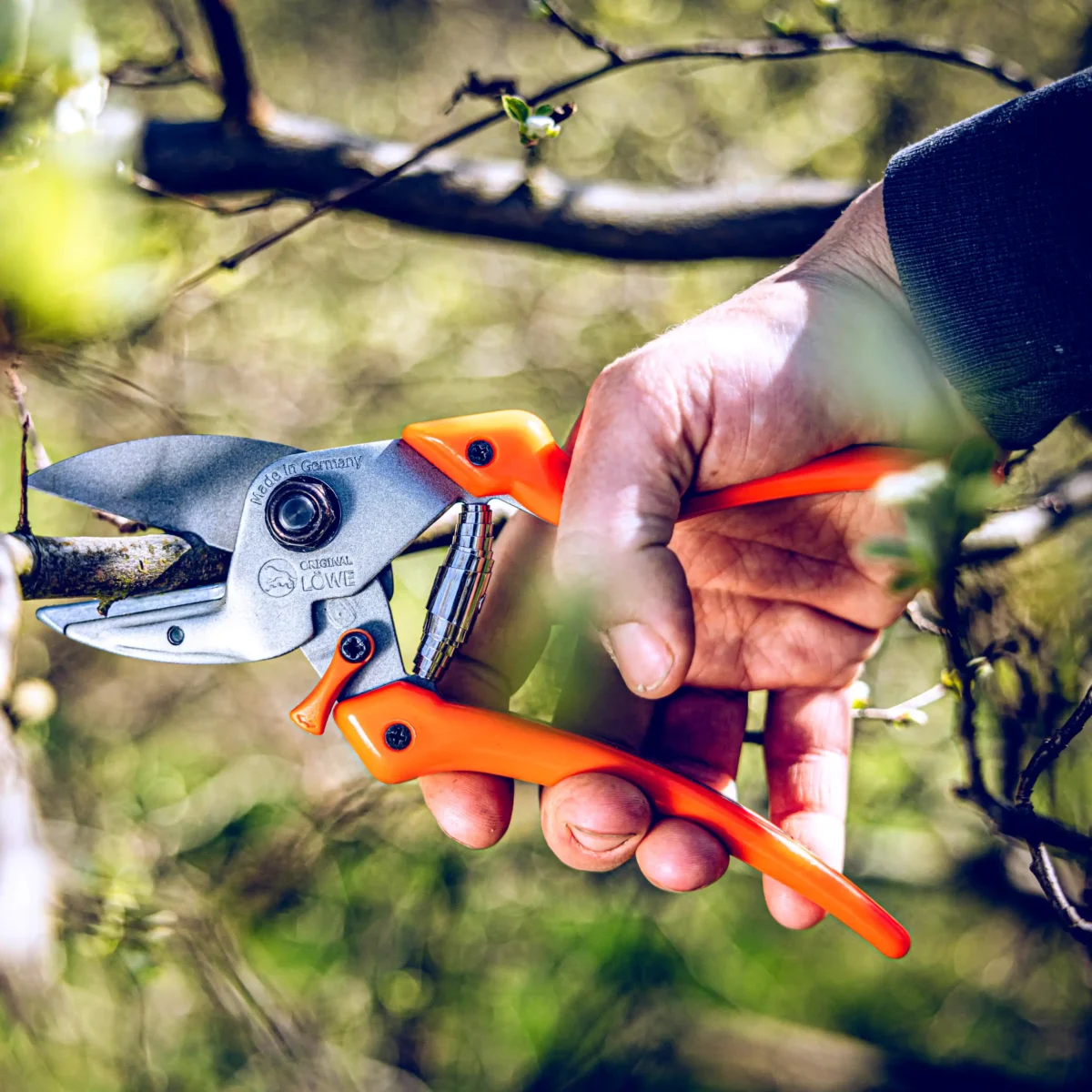 Garden shears Original Original Löwe inward curved handle for women