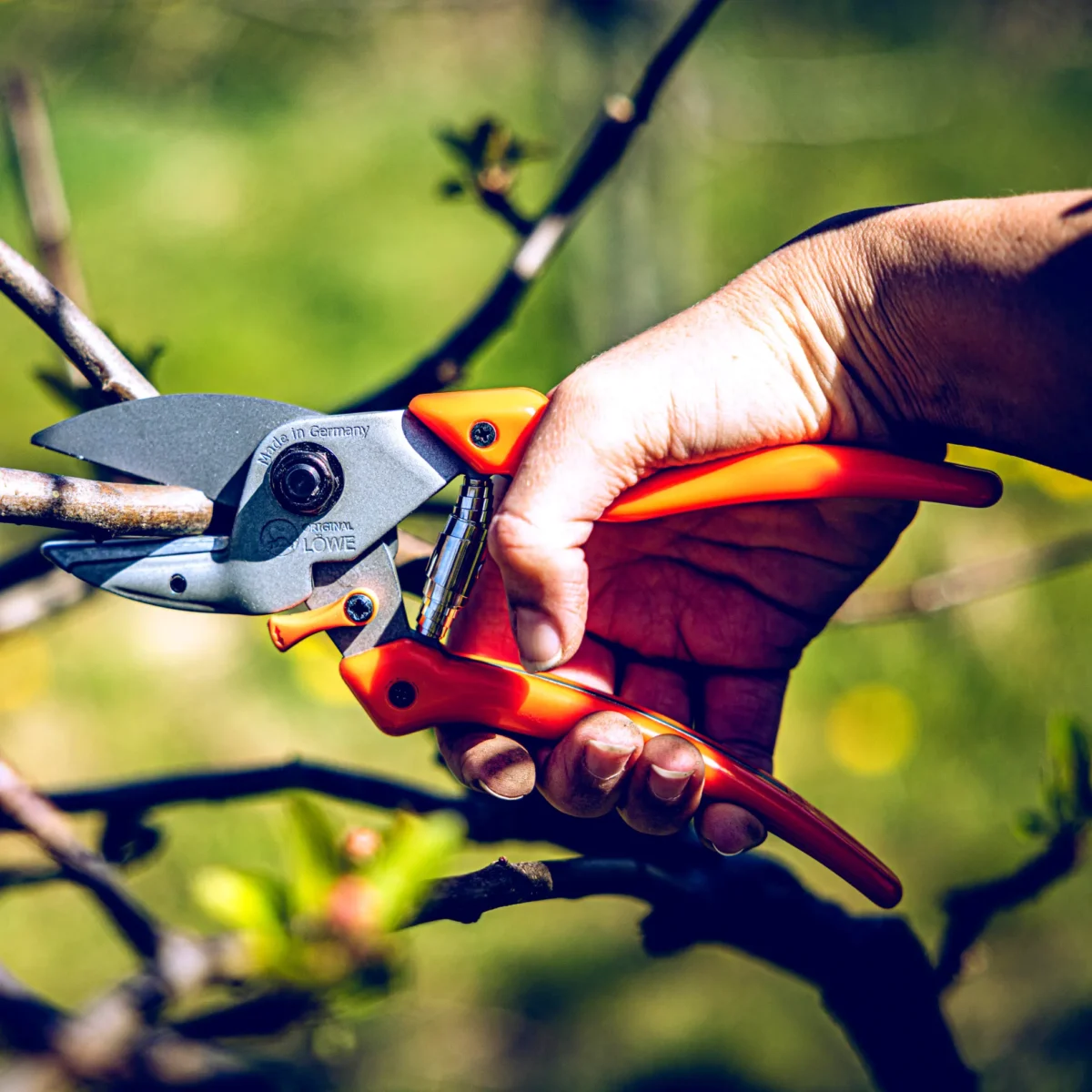 Garden shears Original Original Löwe inward curved handle for women