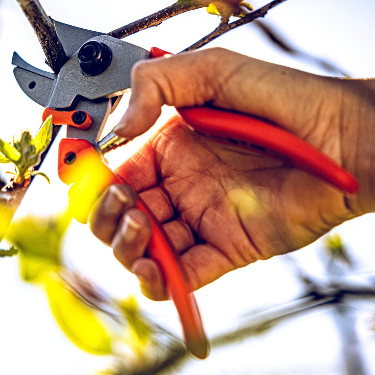 Garden shears for women