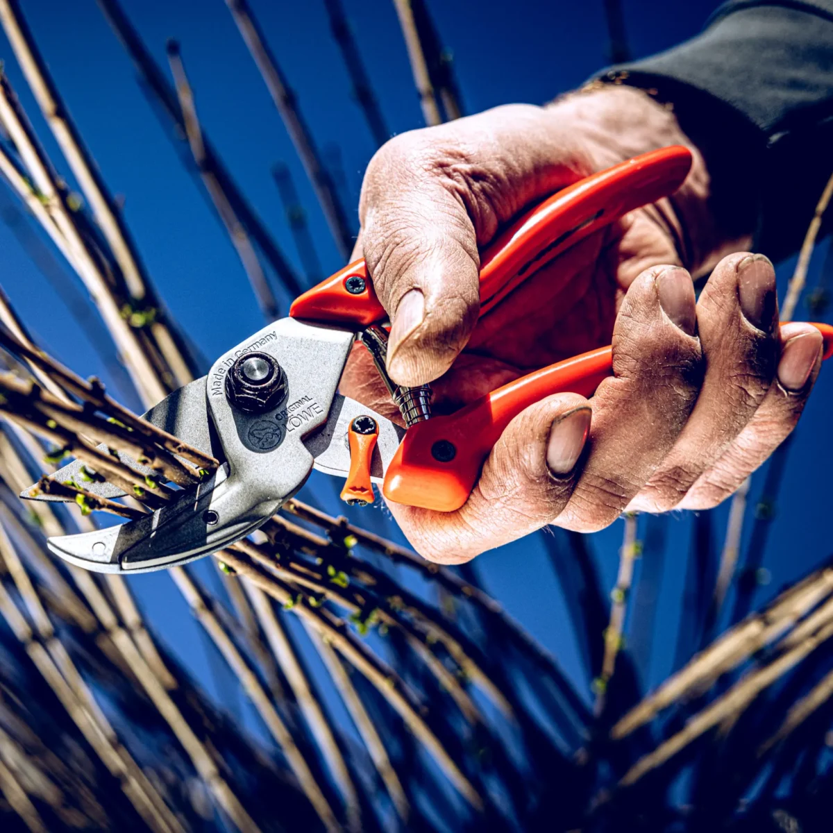 Gartenschere Original Löwe Professional Power Cut 8.104