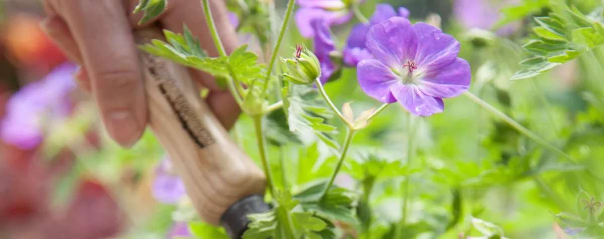 High-quality home and garden products