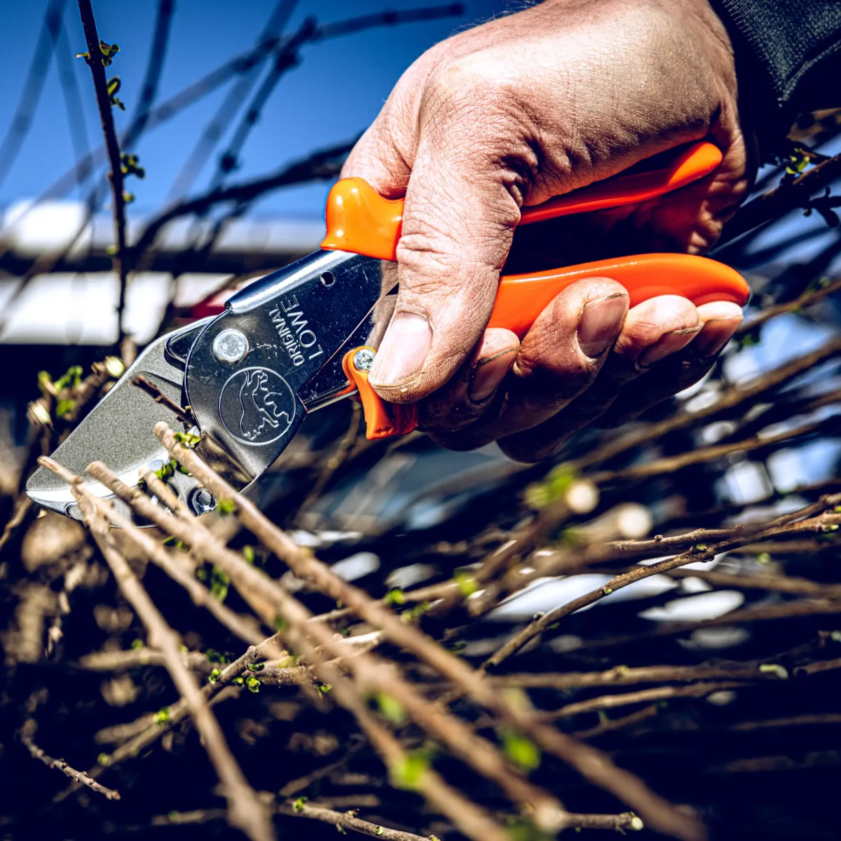 Anvil pruning shears Workshop shears large branches
