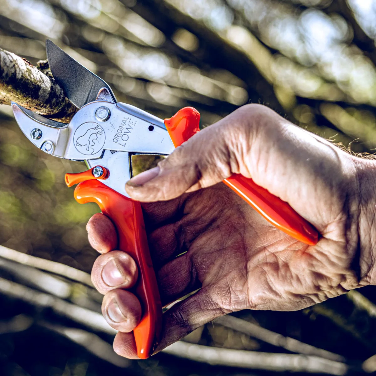 Anvil pruning shears Workshop shears large branches