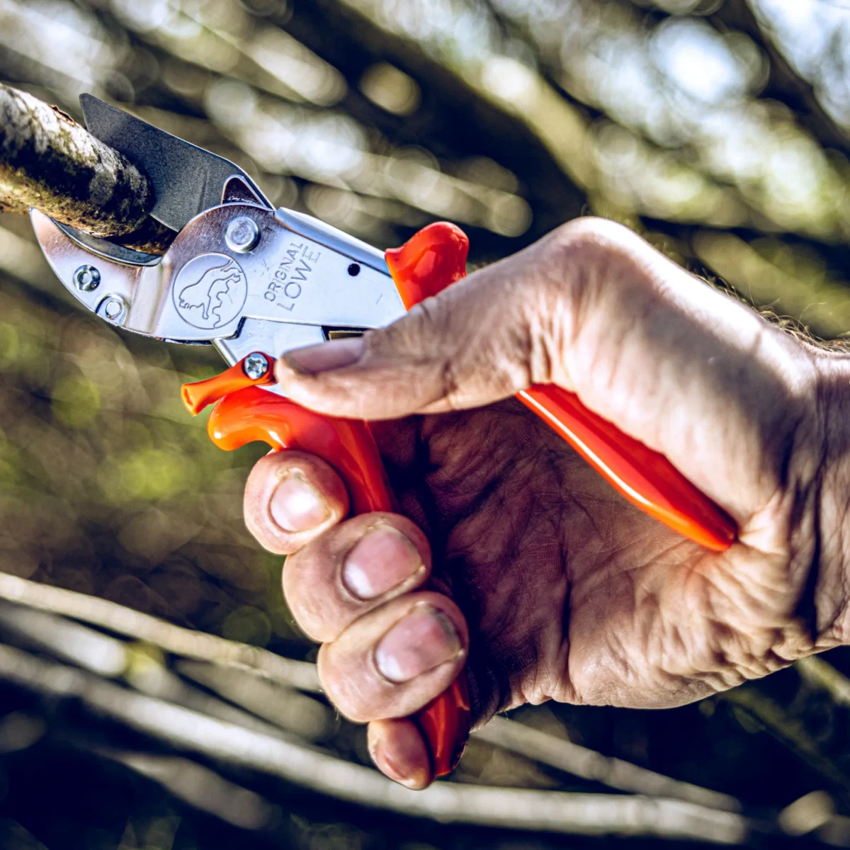 Anvil pruning shears Workshop shears large branches