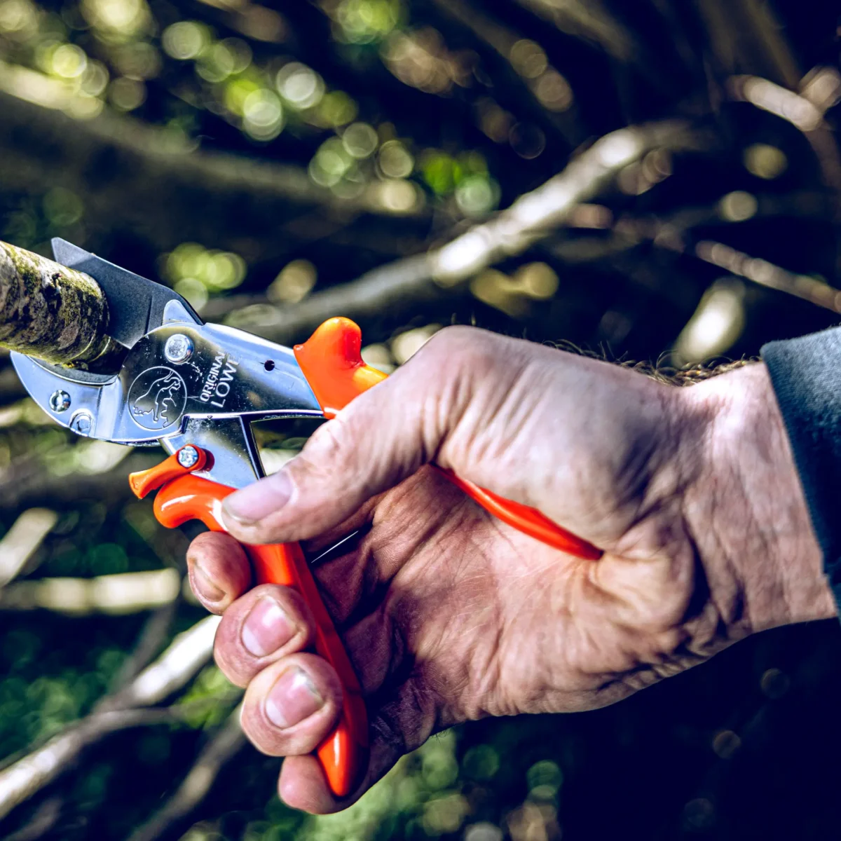 Anvil pruning shears Workshop shears large branches