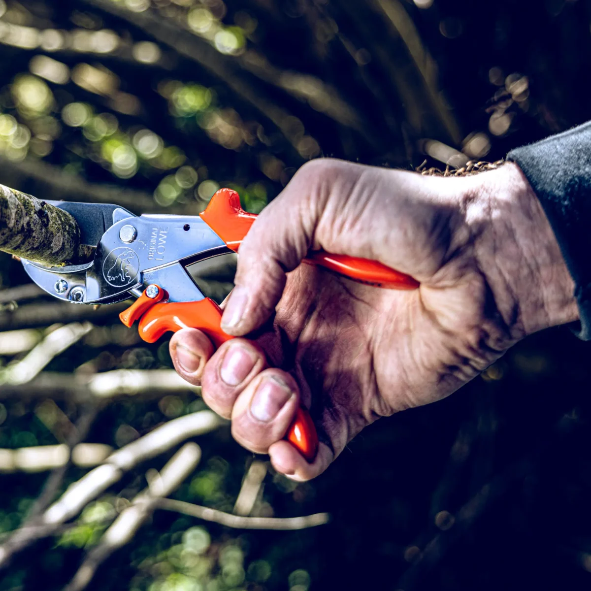 Anvil pruning shears Workshop shears large branches