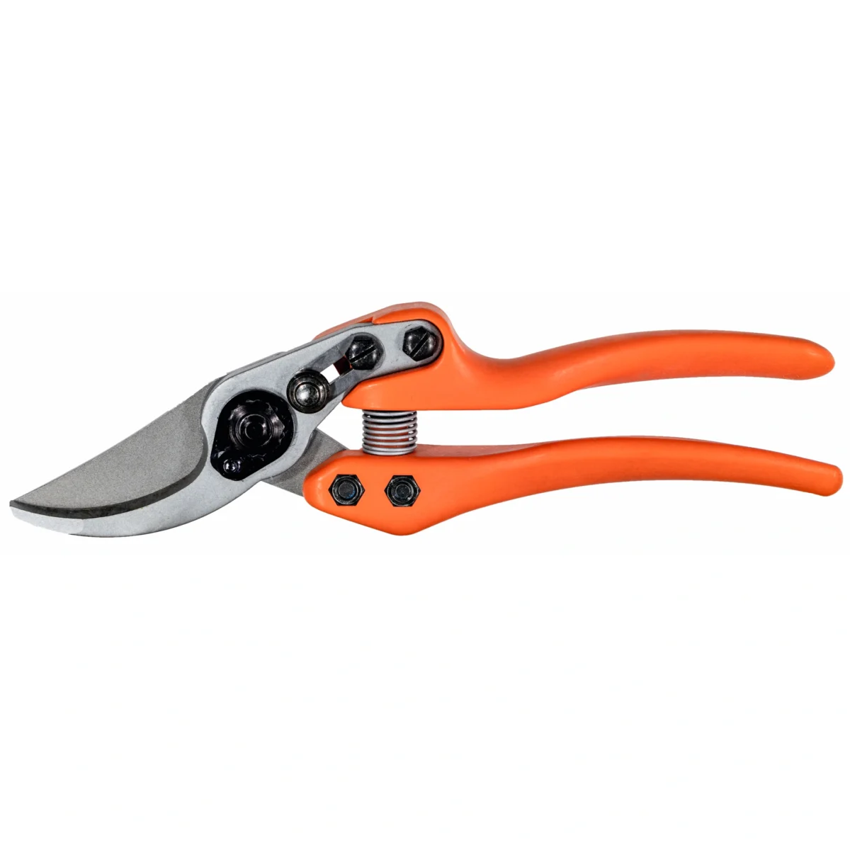 Löwe 11 Precision Clean Cut für Frauen