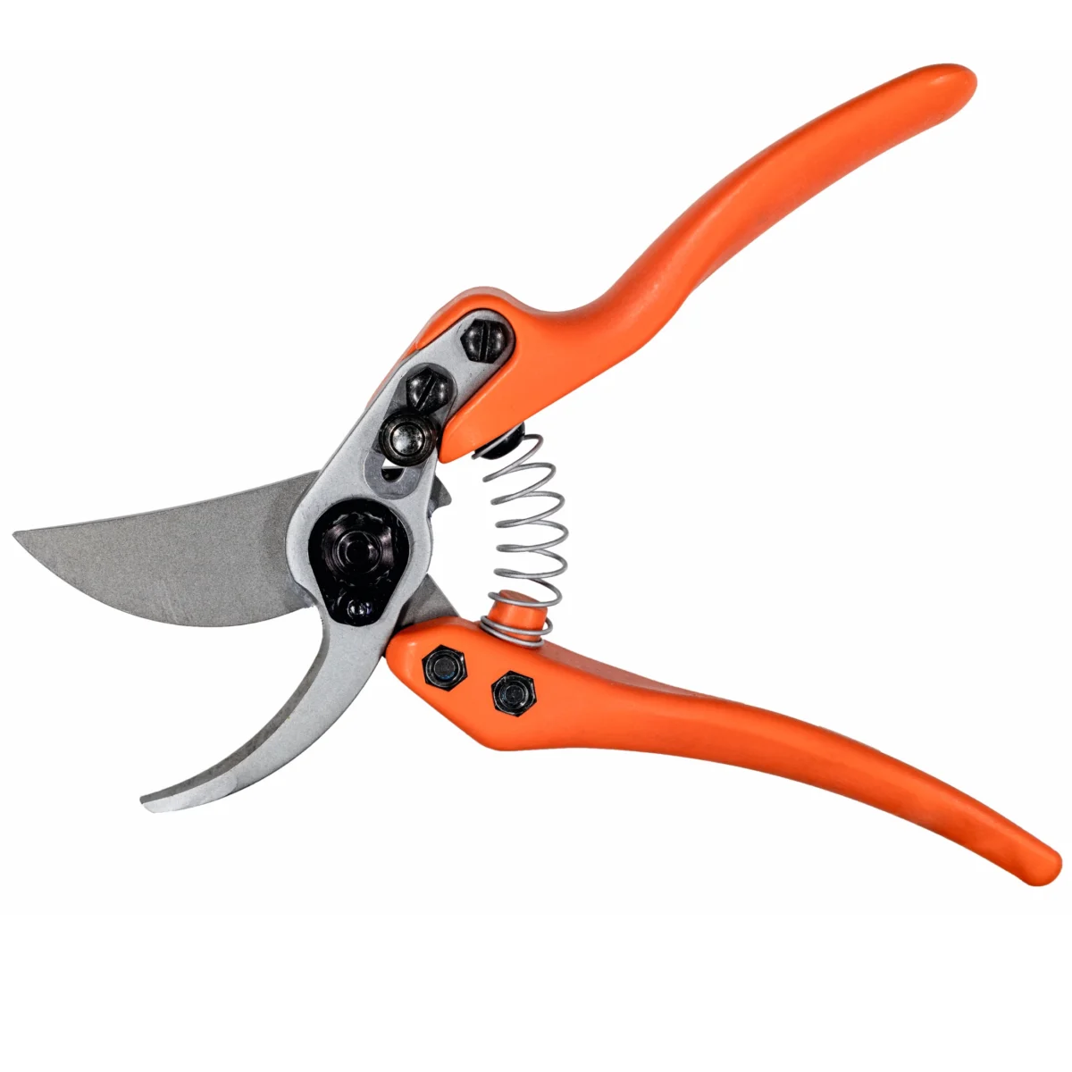 Löwe 11 Precision Clean Cut for women