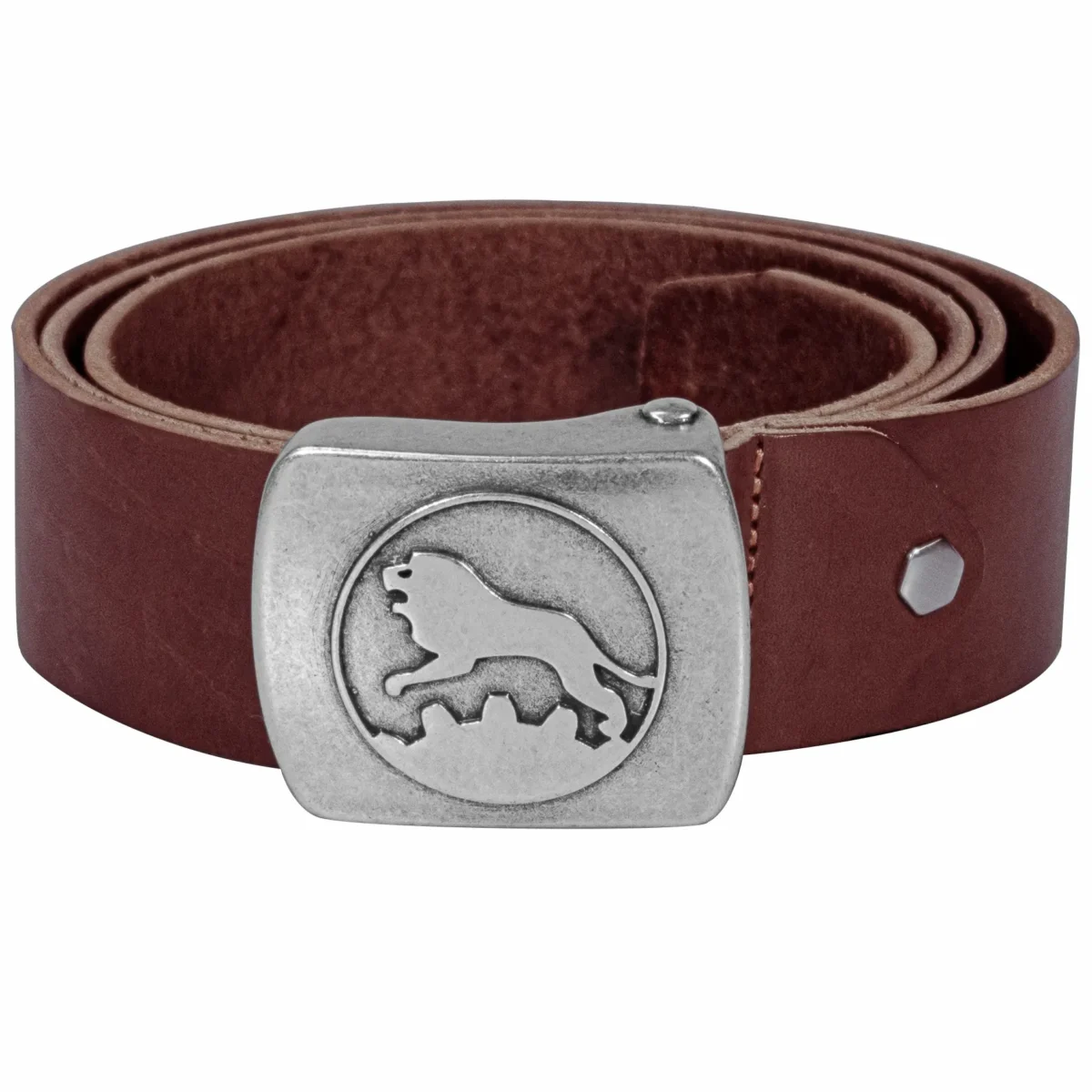 Lion belt