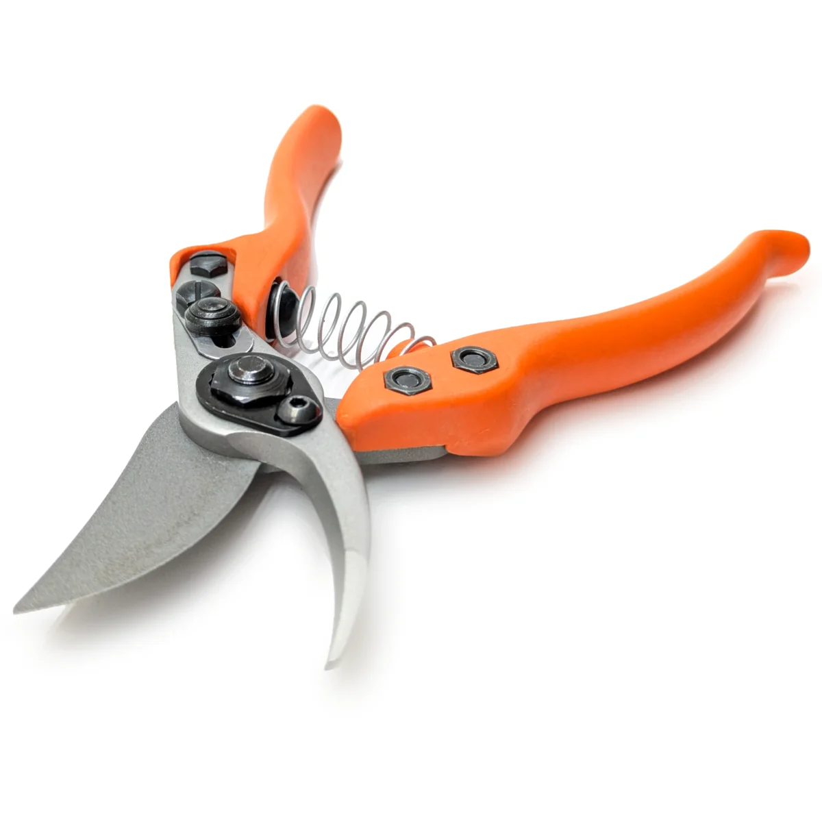 Löwe 12 Precision Clean Cut small secateurs for women