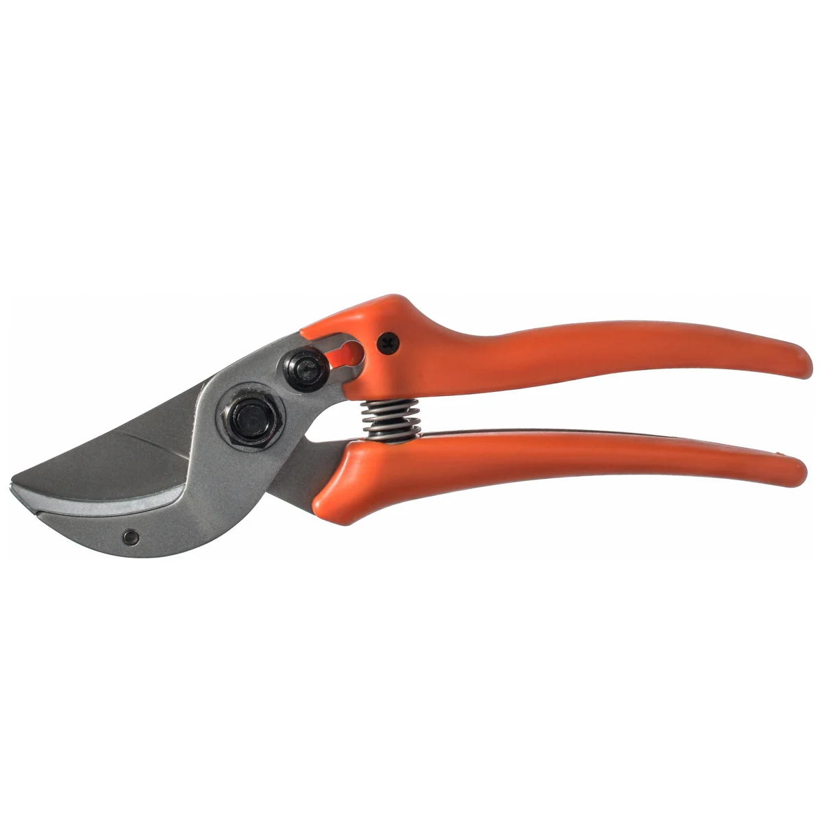 Original Löwe 15 secateurs for women