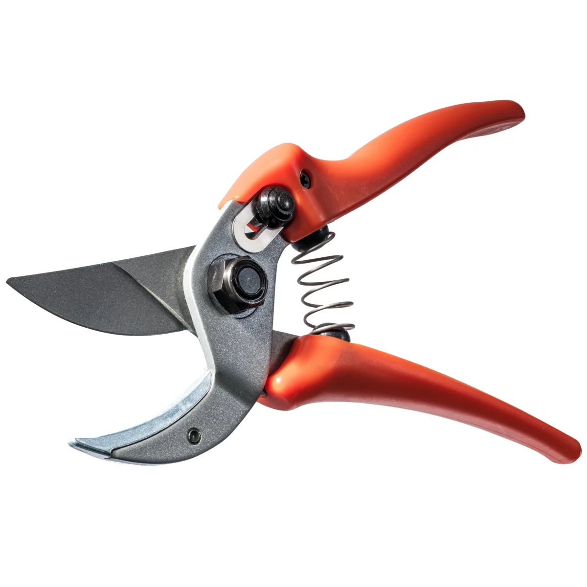 Original Löwe 15 secateurs for women