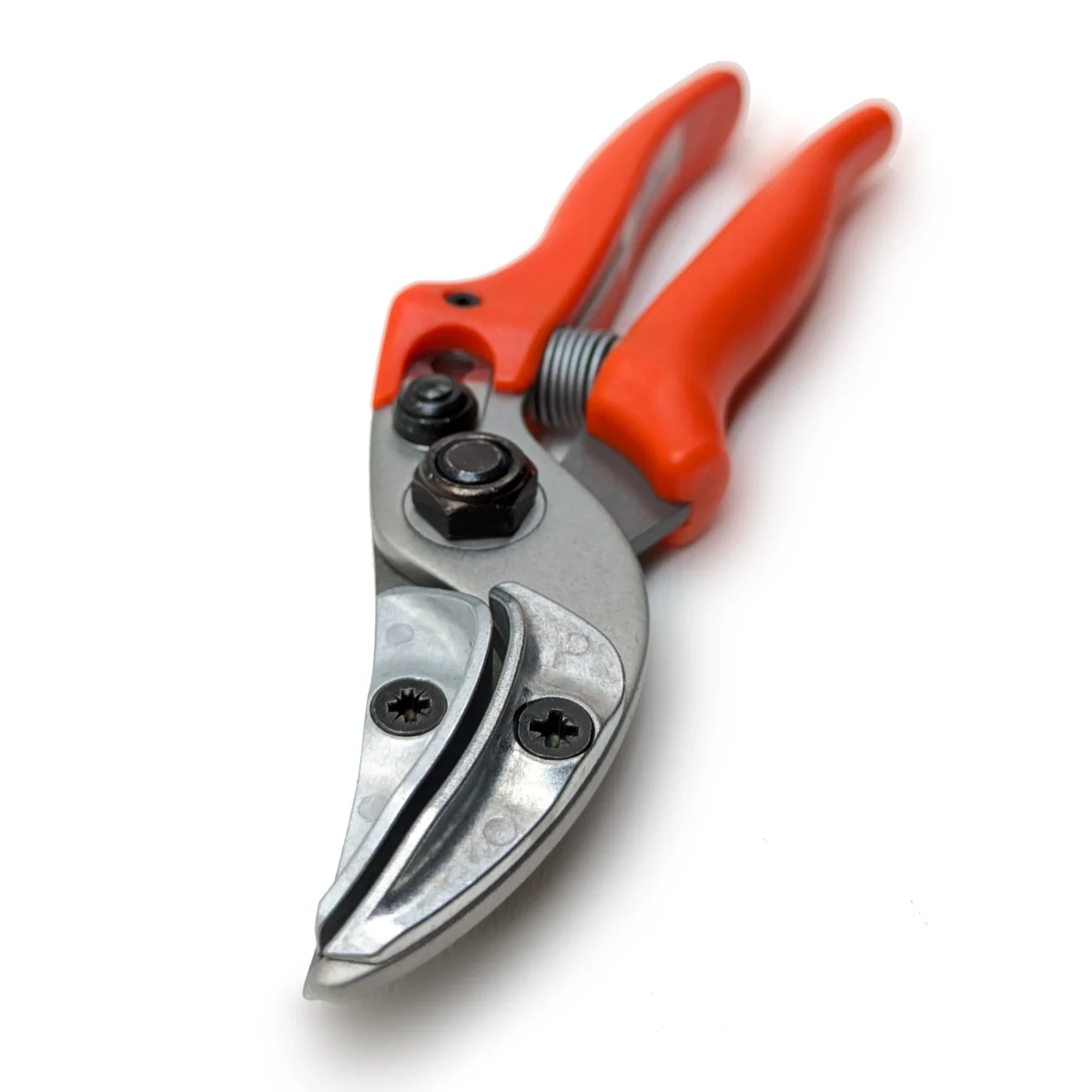 Original Löwe rose presentation scissors