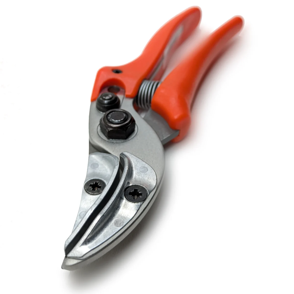 Original Löwe rose presentation scissors